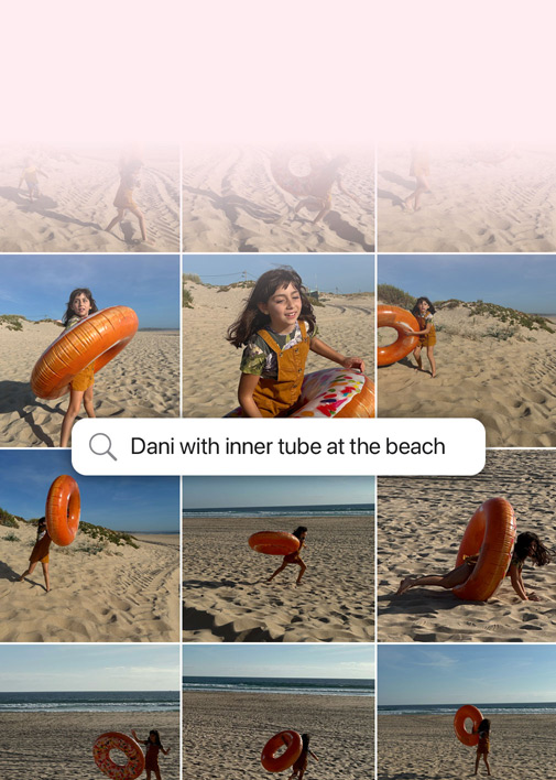 Demonstration af funktion: Søgning med dagligdagssprog i fotos. Billeder af en hund med disse søgeord over billederne: 'Bandit i kostume'