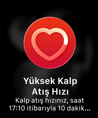 Yüksek Kalp Atış Hızı Bildirimleri’nin Kullanıcı Arayüzünde, “Kalp atış hızınız, saat 09:59 itibarıyla 10 dakika boyunca hareketsiz göründüğünüz sırada 120 v/dk. üzerine çıktı.” yazıyor.