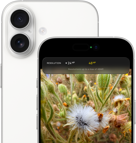 Selfie de groupe avec la fonctionnalité Cadre centré pour les photos